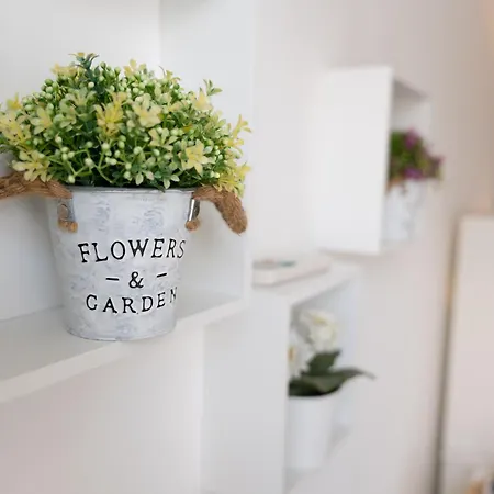 Apartment Beauty *